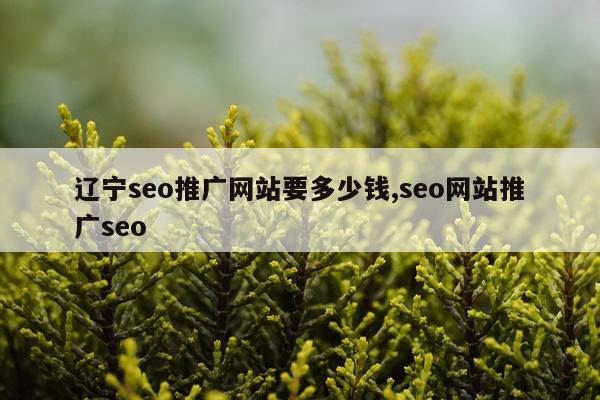 辽宁seo推广网站要多少钱,seo网站推广seo