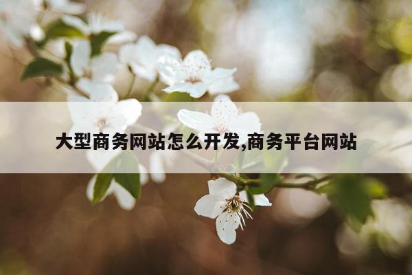 大型商务网站怎么开发,商务平台网站