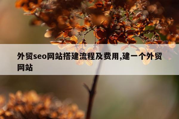 外贸seo网站搭建流程及费用,建一个外贸网站