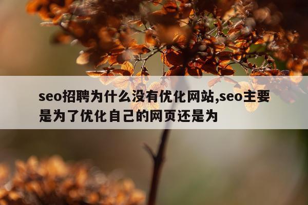 seo招聘为什么没有优化网站,seo主要是为了优化自己的网页还是为