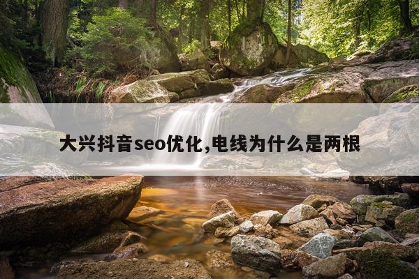 大兴抖音seo优化,电线为什么是两根