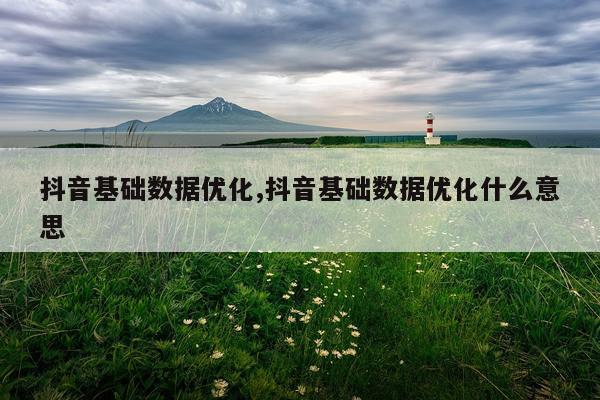抖音基础数据优化,抖音基础数据优化什么意思