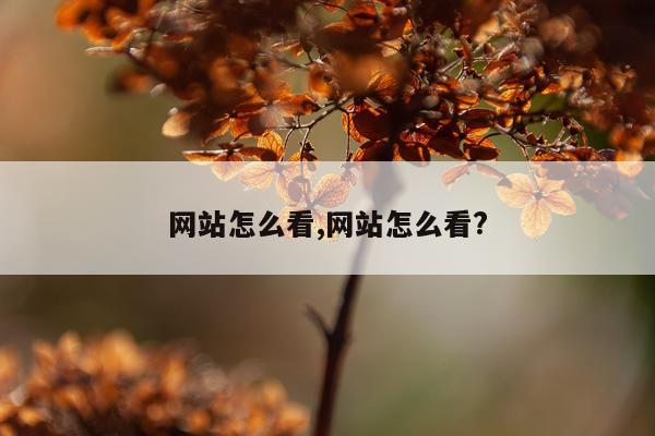 网站怎么看,网站怎么看?