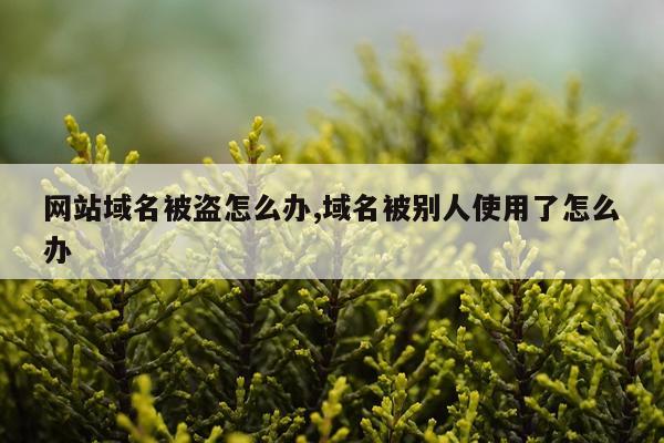 网站域名被盗怎么办,域名被别人使用了怎么办