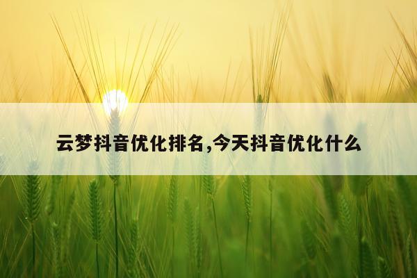 云梦抖音优化排名,今天抖音优化什么