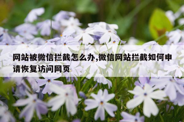 网站被微信拦截怎么办,微信网站拦截如何申请恢复访问网页