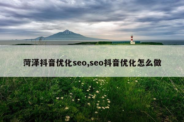 菏泽抖音优化seo,seo抖音优化怎么做