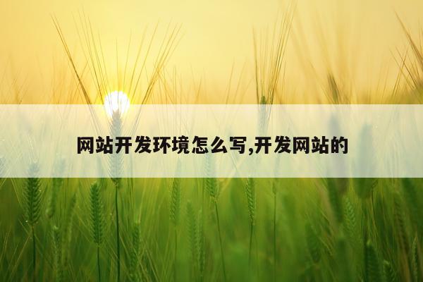 网站开发环境怎么写,开发网站的