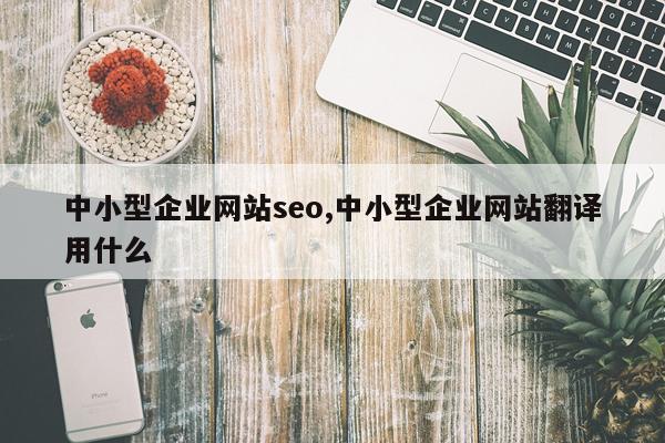 中小型企业网站seo,中小型企业网站翻译用什么