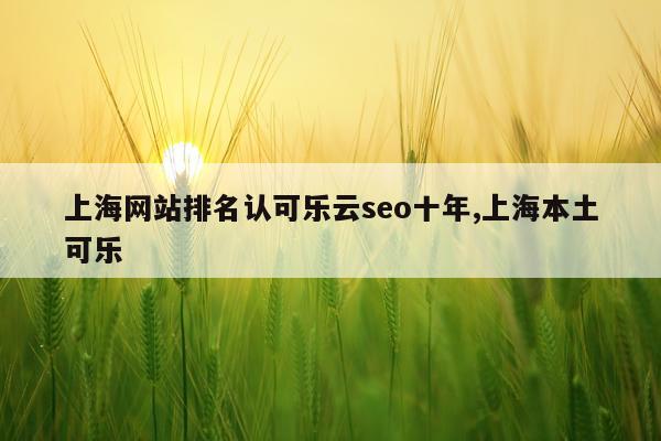 上海网站排名认可乐云seo十年,上海本土可乐
