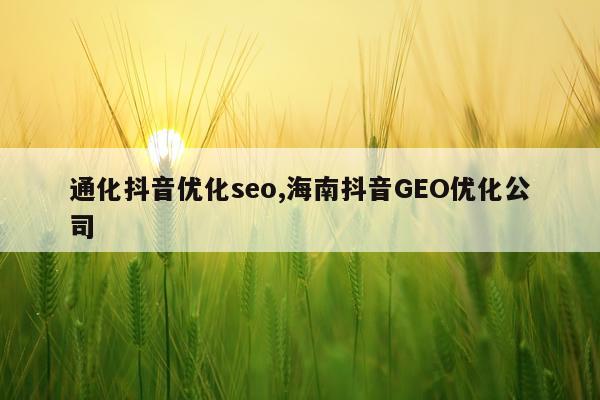 通化抖音优化seo,海南抖音GEO优化公司