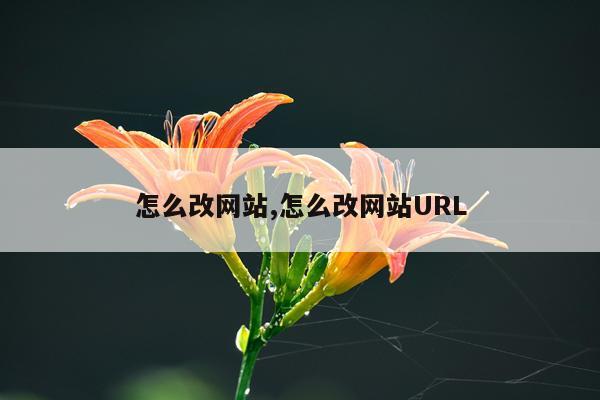 怎么改网站,怎么改网站URL