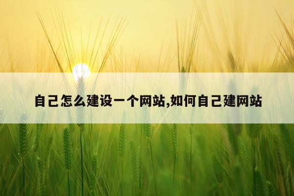 自己怎么建设一个网站,如何自己建网站