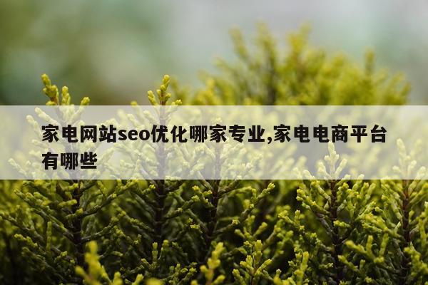 家电网站seo优化哪家专业,家电电商平台有哪些