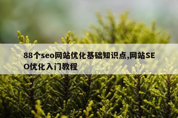88个seo网站优化基础知识点,网站SEO优化入门教程