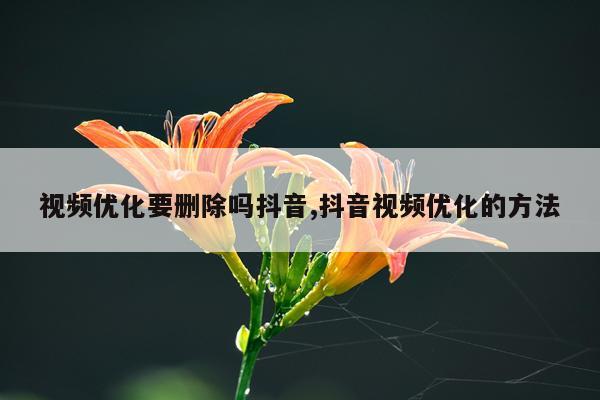 视频优化要删除吗抖音,抖音视频优化的方法