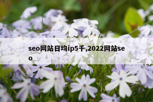 seo网站日均ip5千,2022网站seo