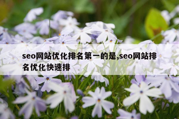 seo网站优化排名第一的是,seo网站排名优化快速排