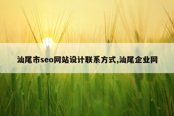 汕尾市seo网站设计联系方式,汕尾企业网