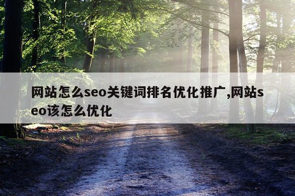 网站怎么seo关键词排名优化推广,网站seo该怎么优化
