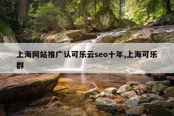 上海网站推广认可乐云seo十年,上海可乐群