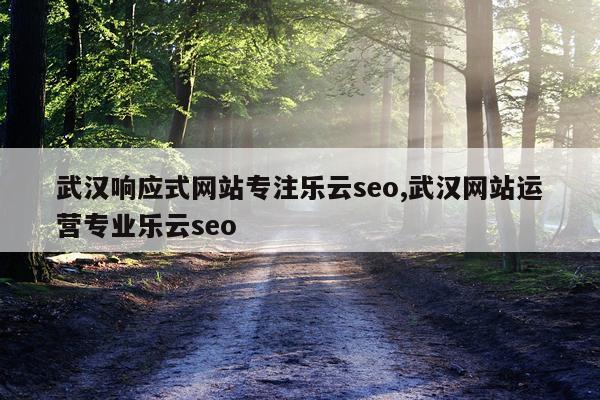 武汉响应式网站专注乐云seo,武汉网站运营专业乐云seo