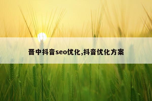 晋中抖音seo优化,抖音优化方案
