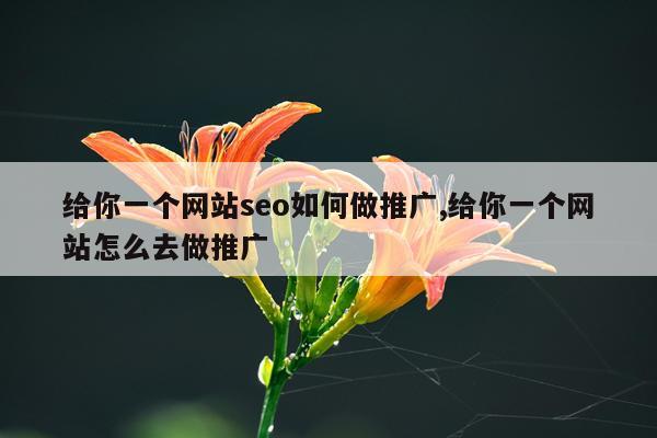 给你一个网站seo如何做推广,给你一个网站怎么去做推广
