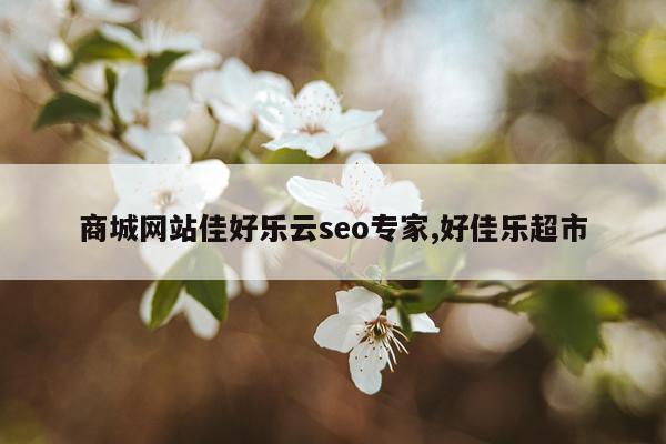 商城网站佳好乐云seo专家,好佳乐超市