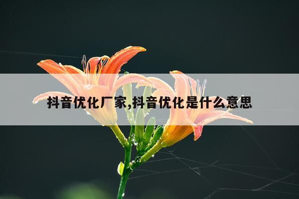 抖音优化厂家,抖音优化是什么意思