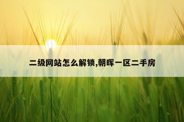二级网站怎么解锁,朝晖一区二手房