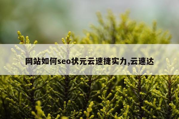 网站如何seo状元云速捷实力,云速达