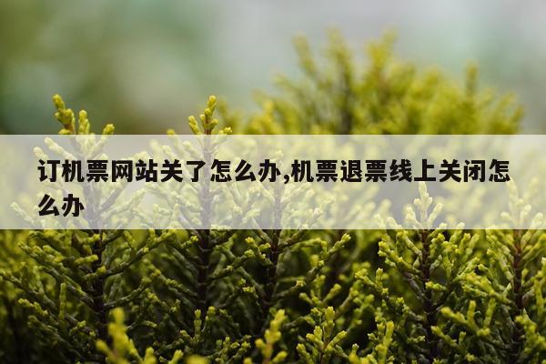 订机票网站关了怎么办,机票退票线上关闭怎么办