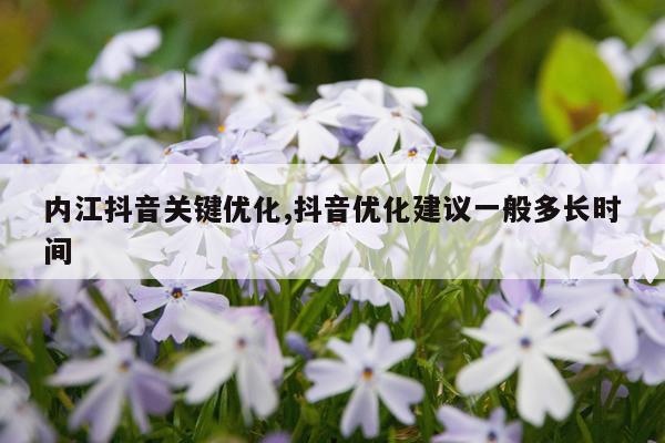内江抖音关键优化,抖音优化建议一般多长时间