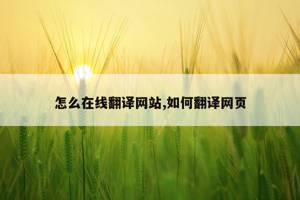 怎么在线翻译网站,如何翻译网页