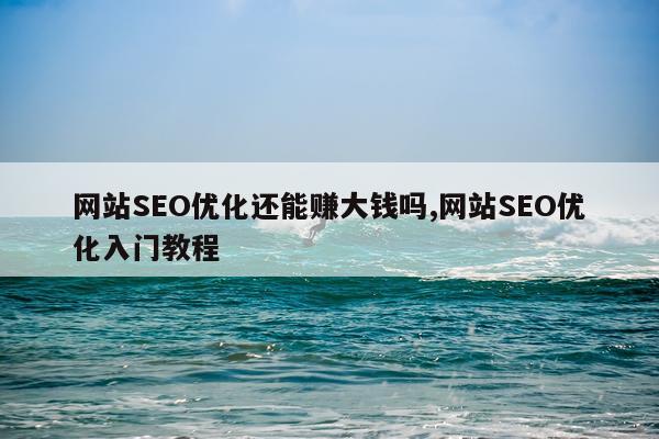 网站SEO优化还能赚大钱吗,网站SEO优化入门教程