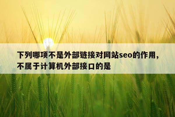 下列哪项不是外部链接对网站seo的作用,不属于计算机外部接口的是