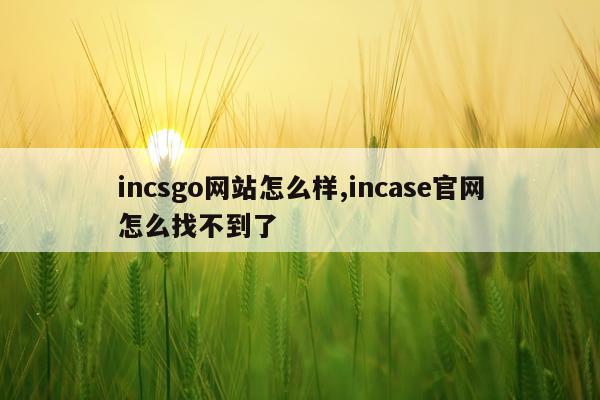 incsgo网站怎么样,incase官网怎么找不到了