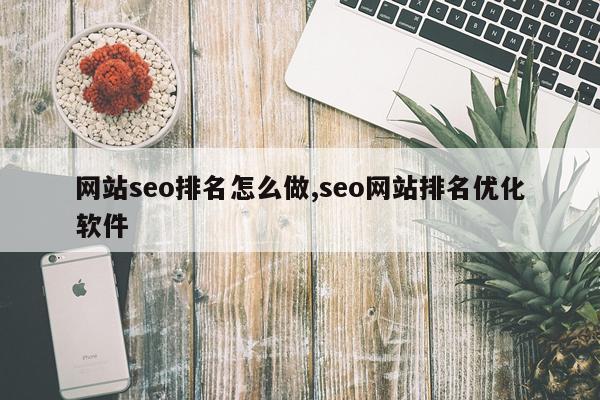 网站seo排名怎么做,seo网站排名优化软件