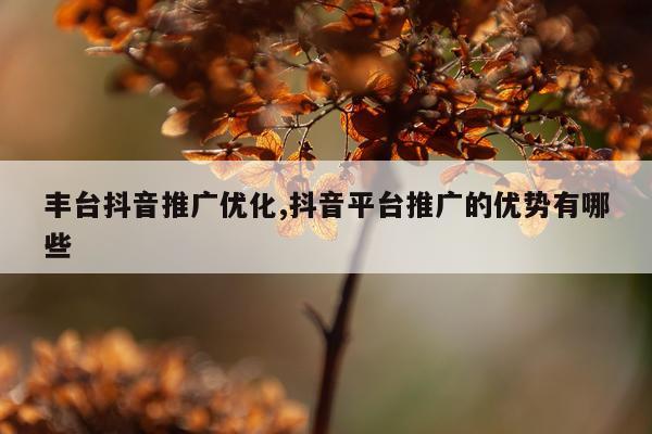 丰台抖音推广优化,抖音平台推广的优势有哪些