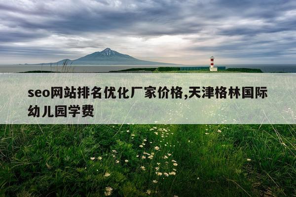 seo网站排名优化厂家价格,天津格林国际幼儿园学费