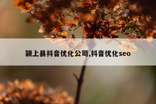 颍上县抖音优化公司,抖音优化seo