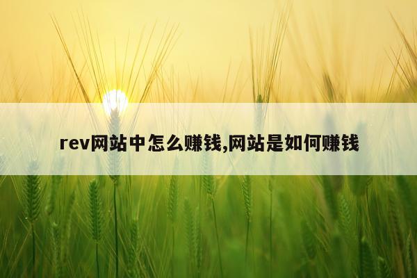rev网站中怎么赚钱,网站是如何赚钱