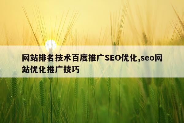 网站排名技术百度推广SEO优化,seo网站优化推广技巧