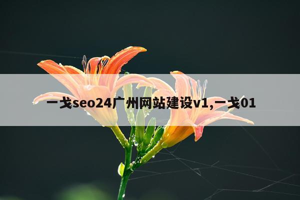 一戈seo24广州网站建设v1,一戈01