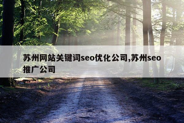 苏州网站关键词seo优化公司,苏州seo推广公司