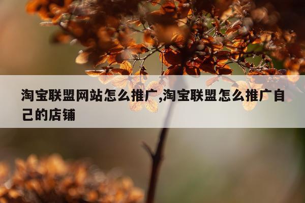 淘宝联盟网站怎么推广,淘宝联盟怎么推广自己的店铺