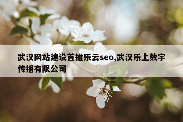 武汉网站建设首推乐云seo,武汉乐上数字传播有限公司