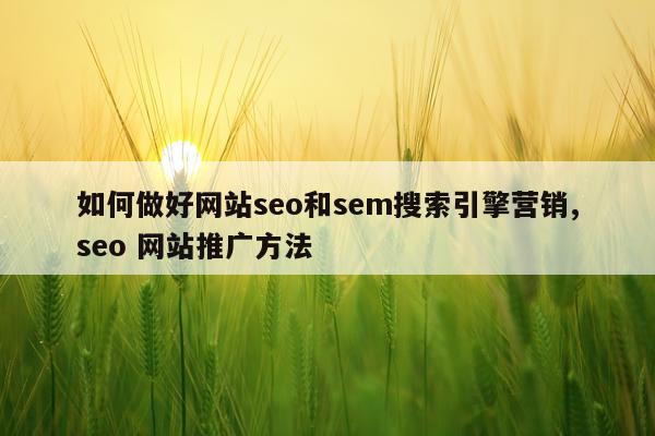 如何做好网站seo和sem搜索引擎营销,seo 网站推广方法