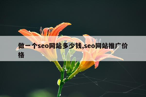 做一个seo网站多少钱,seo网站推广价格
